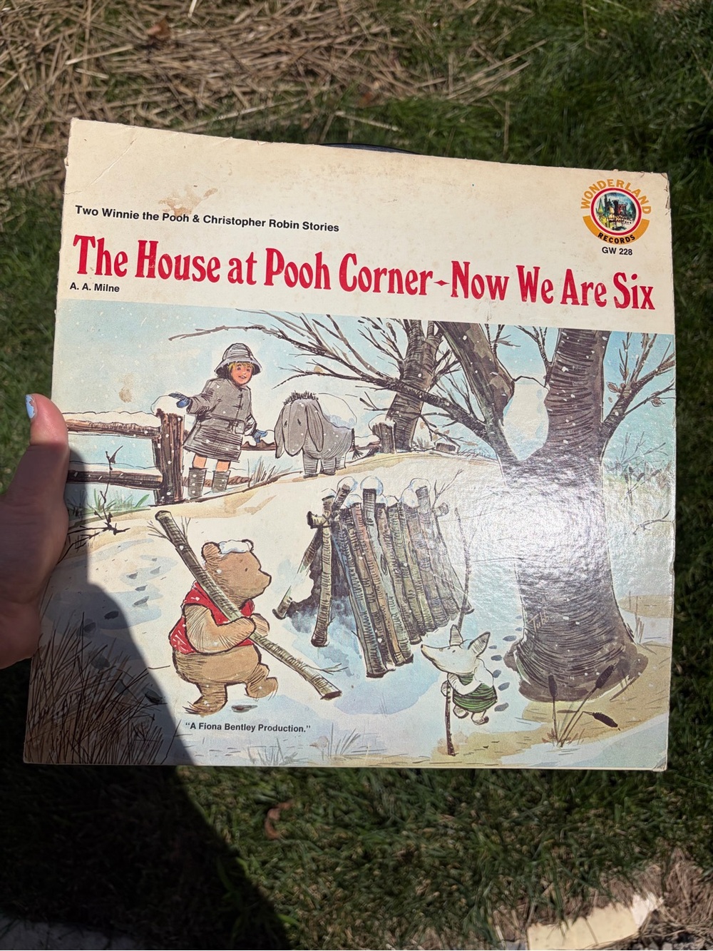 Winnie The Pooh The House At Pooh Corner 2 Children's Vinyl Lot Wonderland